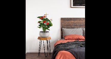 Anthurium kunstplant 60cm - rood