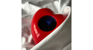 Beslissingsbal, Kama Sutra