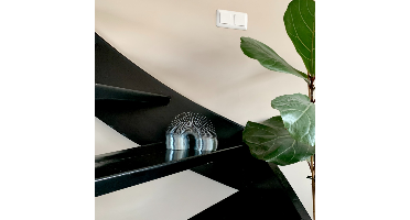 Metalen Trapveer - 11 cm