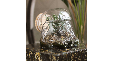 Stormtrooper Terranium