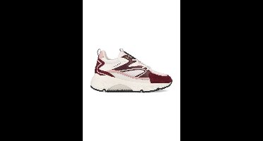 Cruyff Madina Bold CC223983-301 Bordeaux / Wit maat