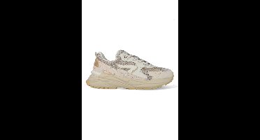 HUB Grid M49 W6806M49-M23-C91 Bruin / Off White-41 maat 41