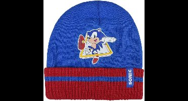 Sonic the Hedgehog - Beanie