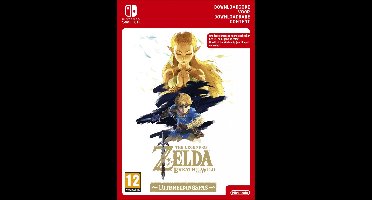 Zelda: Breath of the Wild Expansion Pass