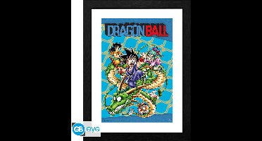Dragonball Framed Print - Cover