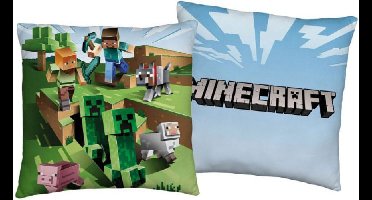 Minecraft Pillow - Minecraft