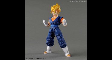 Dragon Ball Z Model Kit - Vegetto