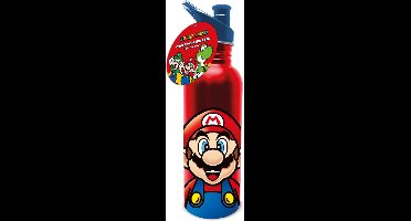 Super Mario Metal Canteen Bottle - Mario