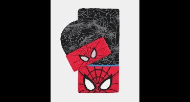 Spider-Man Beanie & Scarf Giftset
