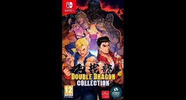 Double Dragon Collection