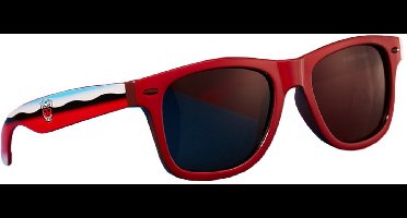 Transformers Sunglasses