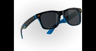 Sonic The Hedgehog Sunglasses