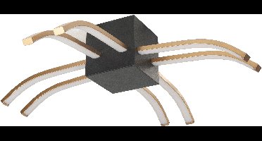 Highlight Spider