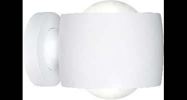 Highlight Amora