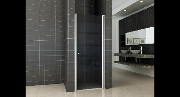 Sanifun Wiesbaden nisdeur met profiel 800x2020 8mm NANO rookglas.