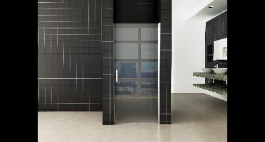 Sanifun Eco nisdeur met profiel  900x1950 6mm.