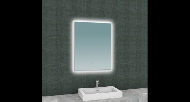 Sanifun Soul spiegel + Led rechthoek 600x800.