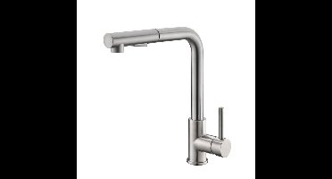 Sanifun 304-Reno Twenty RVS Keukenkraan + uittrekb.handdouche.