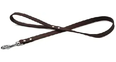 Beeztees hondenriem leer 100x2cm bruin