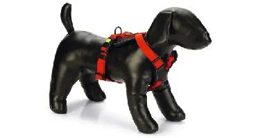Beeztees hondentuig parinca premium y-tuig nylon S/M 49-57x2cm rood