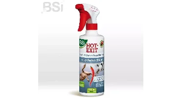 BSI Hot exit® 500ml