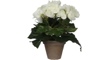 Mica Decorations kunstplant begonia 25cm wit