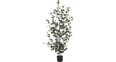 Mica Decorations kunstplant eucalyptus 150cm groen
