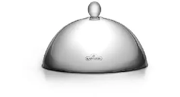 Napoleon stainless steel grill hood