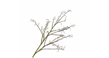 Silk-ka kunsttak 107cm bruin