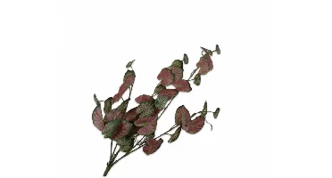 Silk-ka kunsttak caladium 82cm groen, roze