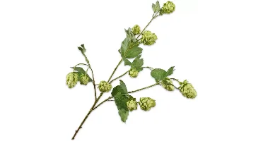 Silk-ka kunsttak hop 77cm groen