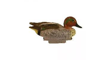 Wintertaling (woerd)