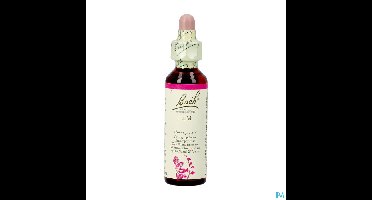 Bach Flower Remedie 11 Elm 20ml