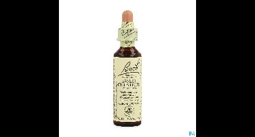 Bach Flower Remedie 30 Sweet Chestnut 20ml