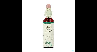 Bach Flower Remedie 33 Walnut 20ml