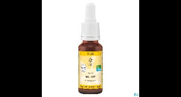 Bachbloesem Bio N°33 Walnut 20ml