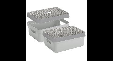 2x Opbergbox/mand lichtgrijs 9 liter kunststof met deksel