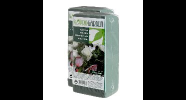 2x stuks steekschuim/oase nat rechthoekig groen 20 x 10 x 7 cm