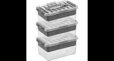 3x Opberg boxen/opbergdozen tray 6 liter 30 x 20 x 14 cm