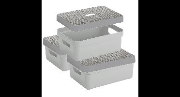 3x Opbergbox/mand lichtgrijs 9 liter kunststof met deksel