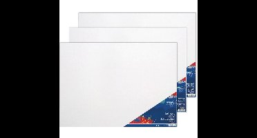 3x Schildersdoeken 50 x 70 cm voor hobby verf schilderen