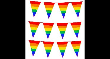 3x Stuks Boland PE vlaggenlijn - 8m - Regenboog - Universeel Thema