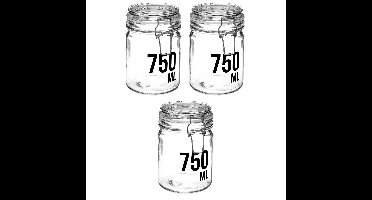 3x stuks inmaakpotten/voorraadpotten 0,75L glas met beugelsluiting