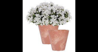 Bloempot/plantenpot voor buiten - 2x - kunststof - terracotta - D20 x H19 cm - 3,5 liter