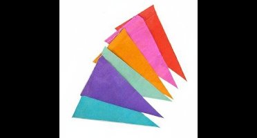 Boland feestvlaggetjes - Papier - vlaggenlijn multi kleuren - 10 meter - Feestversiering