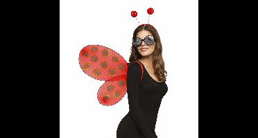 Boland Lieveheersbeestje set - rood - volwassen - carnavalsaccessoires