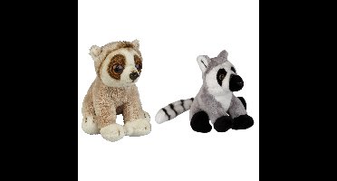 Bosdieren zachte pluche knuffels 2x stuks - ringstaart Maki aapje en Luiaard van 15 cm