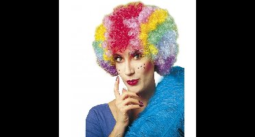 Carnaval pruik Clown - Gekleurde clownspruik voor volwassenen