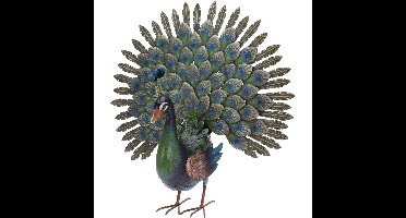 Decoratie Tuinbeeld Pauw - metaal - 30 x 65 x 63 cm