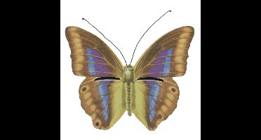 Decoris Insectenhotel - vlinderhuis - bruin/ geel - 20 cm